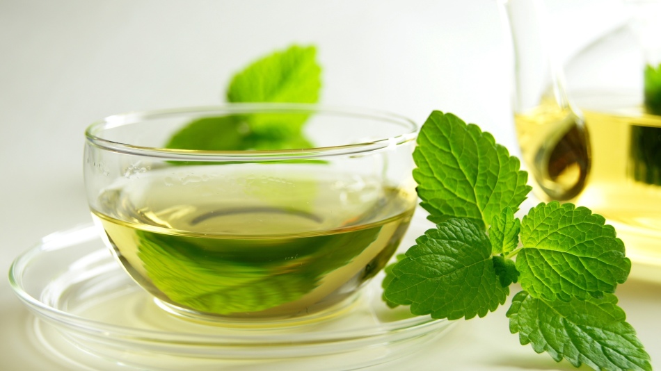 Мята и зеленый чай - средства для похудения