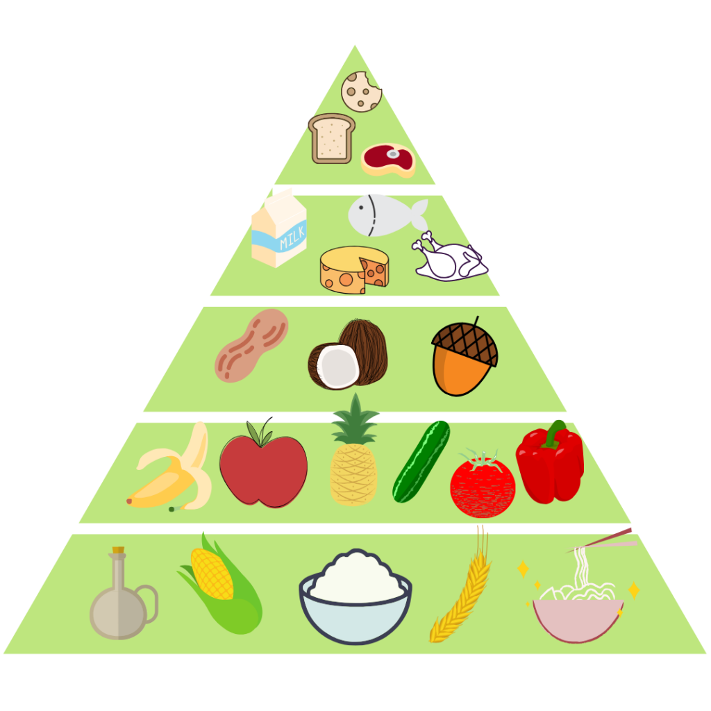 пищевая_пирамида