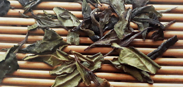 Чайные листья на ферментации