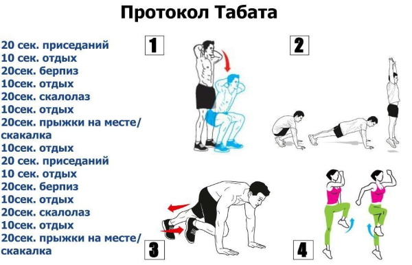 Фитнес тренировки для похудения: силовые, кардио, интервальные, ЕМС, табата, анаэробные