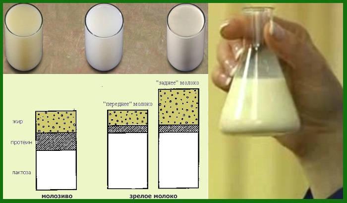 Химическая формула молока и таблица веществ в составе на 100 грамм, температура